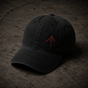 Embroidered Ronin washed cap