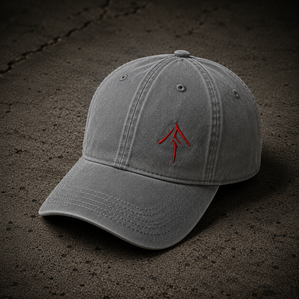 Embroidered Ronin washed cap