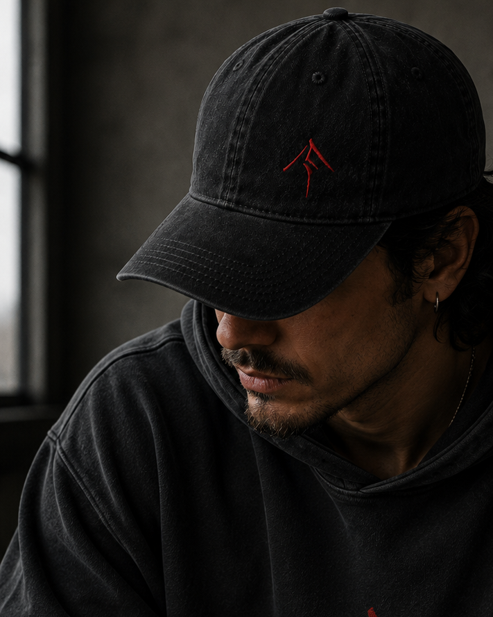 Embroidered Ronin washed cap